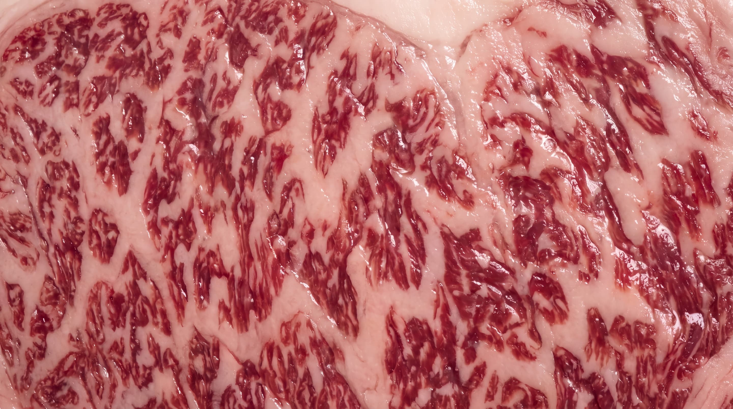 Japanese A5 Wagyu marbling from Miyazaki