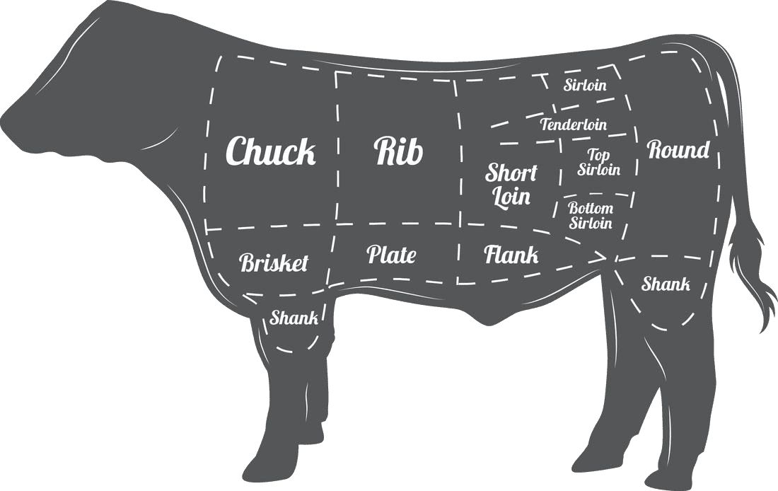 Beef cuts chart: chuck, rib, loin, round, brisket, plate, flank, shank
